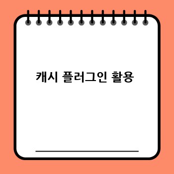 캐시 플러그인 활용