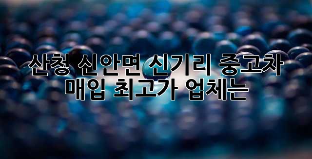 산청 신안면 신기리 중고차 매입 최고가 업체는?