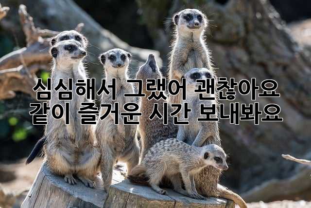 심심해서 그랬어? 괜찮아요, 같이 즐거운 시간 보내봐요! 🥰