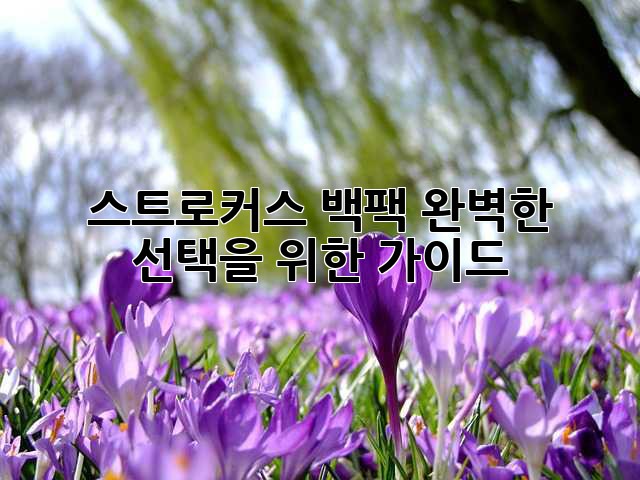 스트로커스 백팩: 완벽한 선택을 위한 가이드