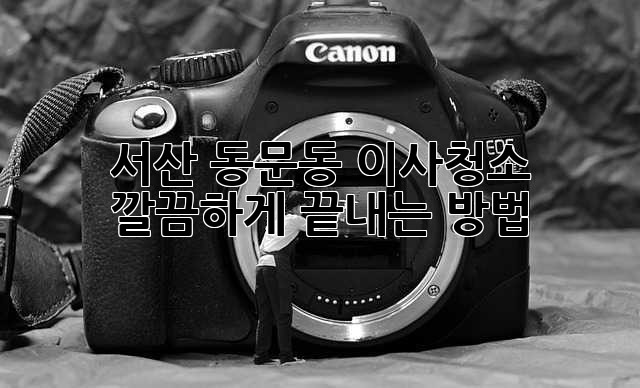 서산 동문동 이사청소, 깔끔하게 끝내는 방법! ✨