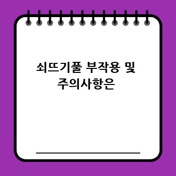 쇠뜨기풀 부작용 및 주의사항은