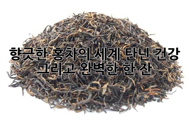 향긋한 홍차의 세계: 탄닌, 건강, 그리고 완벽한 한 잔