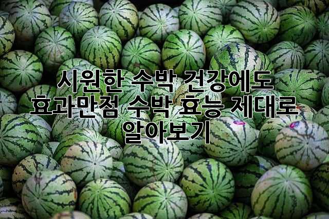 시원한 수박, 건강에도 효과만점! 수박 효능 제대로 알아보기