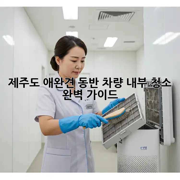 제주도 애완견 동반 차량 내부 청소 완벽 가이드