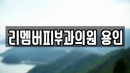 리멤버피부과의원 용인