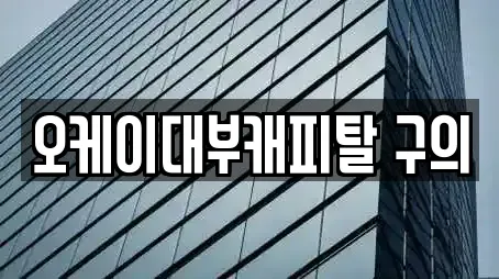 오케이대부캐피탈 구의