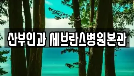 산부인과 세브란스병원본관