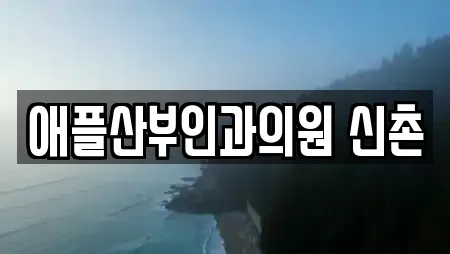 애플산부인과의원 신촌