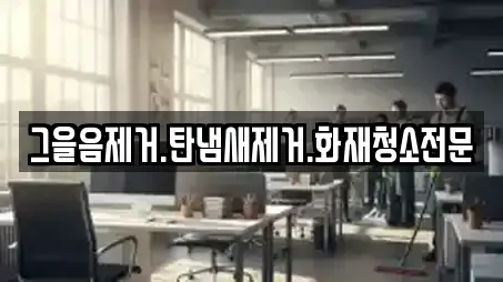 그을음제거.탄냄새제거.화재청소전문