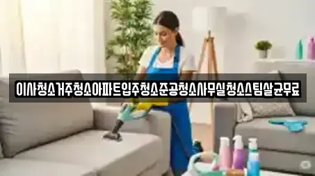이사청소거주청소아파트입주청소준공청소사무실청소스팀살균무료