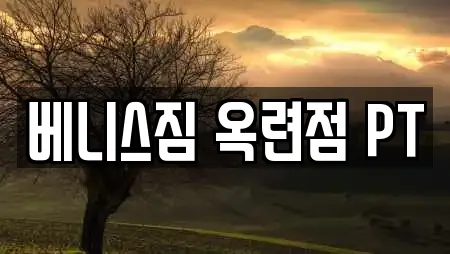 베니스짐 옥련점 PT