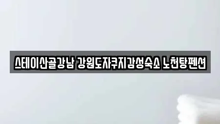 스테이산골강남 강원도자쿠지감성숙소 노천탕펜션