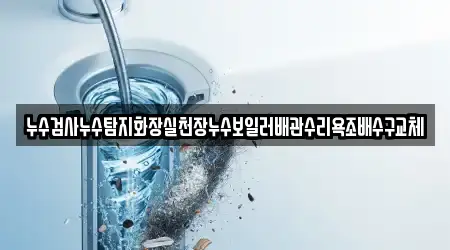 누수검사누수탐지화장실천장누수보일러배관수리욕조배수구교체