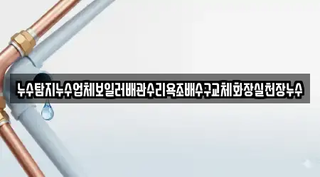 누수탐지누수업체보일러배관수리욕조배수구교체화장실천장누수