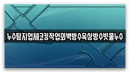 누수탐지업체코킹작업외벽방수옥상방수빗물누수