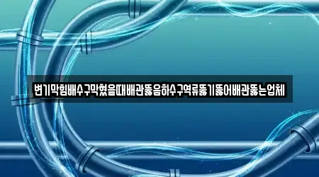 변기막힘배수구막혔을때배관뚫음하수구역류뚫기뚫어배관뚫는업체