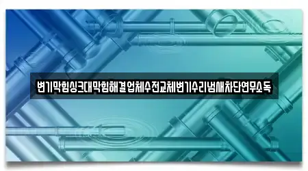 변기막힘싱크대막힘해결업체수전교체변기수리냄새차단연무소독