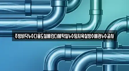 주방바닥누수다용도실베란다세탁실누수탐지욕실방수배관누수공사