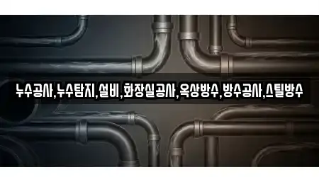누수공사,누수탐지,설비,화장실공사,옥상방수,방수공사,스틸방수