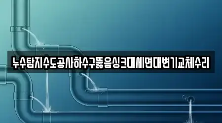 누수탐지수도공사하수구뚫음싱크대세면대변기교체수리
