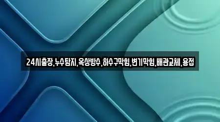 24시출장,누수탐지,옥상방수,하수구막힘,변기막힘,배관교체,용접