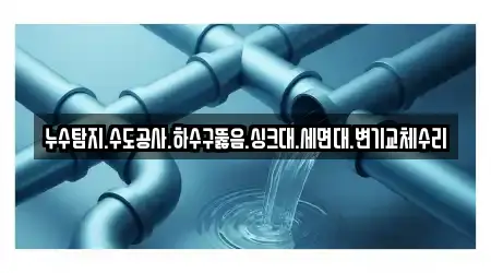 누수탐지.수도공사.하수구뚫음.싱크대.세면대.변기교체수리