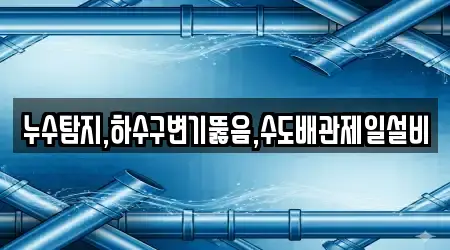 누수탐지,하수구변기뚫음,수도배관제일설비