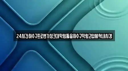 24시간하수구프로변기싱크대막힘뚫음하수구막힘고압세척내시경