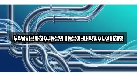 누수탐지공사하수구뚫음변기뚫음싱크대막힘수도설비해빙