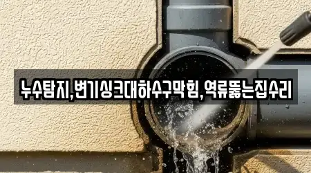 누수탐지,변기싱크대하수구막힘,역류뚫는집수리