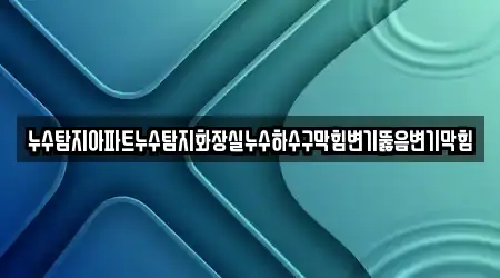 누수탐지아파트누수탐지화장실누수하수구막힘변기뚫음변기막힘