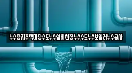 누수탐지주택마당수도누수설비천장누수수도누수보일러누수공사