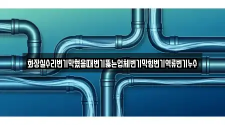 화장실수리변기막혔을때변기뚫는업체변기막힘변기역류변기누수