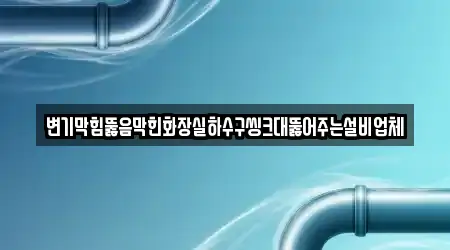 변기막힘뚫음막힌화장실하수구씽크대뚫어주는설비업체