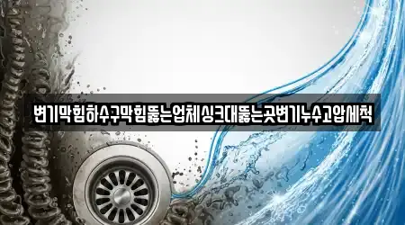 변기막힘하수구막힘뚫는업체싱크대뚫는곳변기누수고압세척