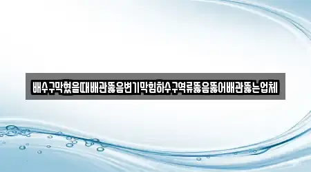 배수구막혔을때배관뚫음변기막힘하수구역류뚫음뚫어배관뚫는업체