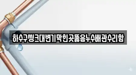 하수구씽크대변기막힌곳뚫음누수배관수리함