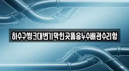 하수구씽크대변기막힌곳뚫음누수배관수리함