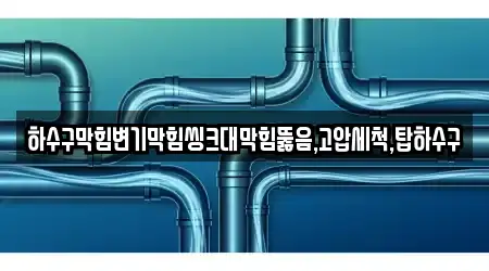 충북 제천 고명동 변기막힘 8 가까운 주소