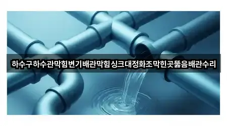 하수구하수관막힘변기배관막힘싱크대정화조막힌곳뚫음배관수리