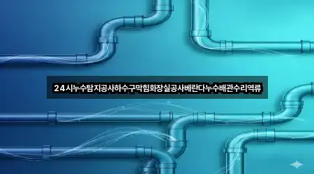 24시누수탐지공사하수구막힘화장실공사베란다누수배관수리역류