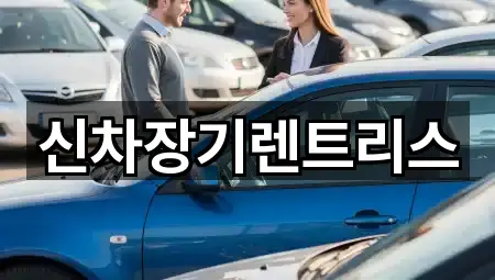 지금 연락 | 대구광역시 중구 장기렌트카 5곳