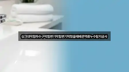 싱크대막힘하수구막힘변기막힘변기막혔을때배관역류누수탐지공사