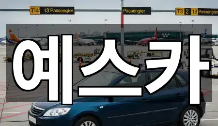 고양 일산서구 일산동 중고차 5곳 주소 빠른접속