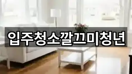 입주청소깔끄미청년