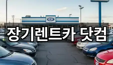 대구 수성동1가 장기렌트카 (1곳) 주소 모음