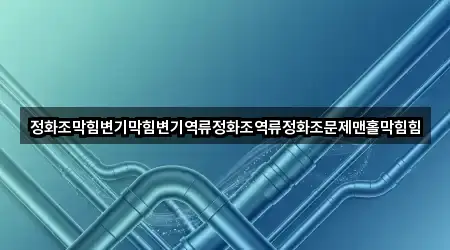 정화조막힘변기막힘변기역류정화조역류정화조문제맨홀막힘힘
