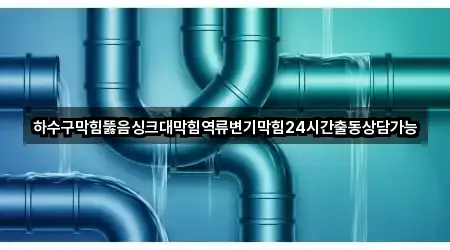 하수구막힘뚫음싱크대막힘역류변기막힘24시간출동상담가능