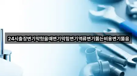 24시출장변기막혔을때변기막힘변기역류변기뚫는비용변기뚫음